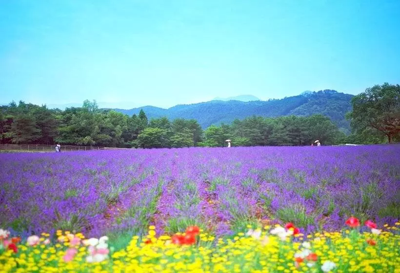Menard Aoyama Resort Hotel Schönvert