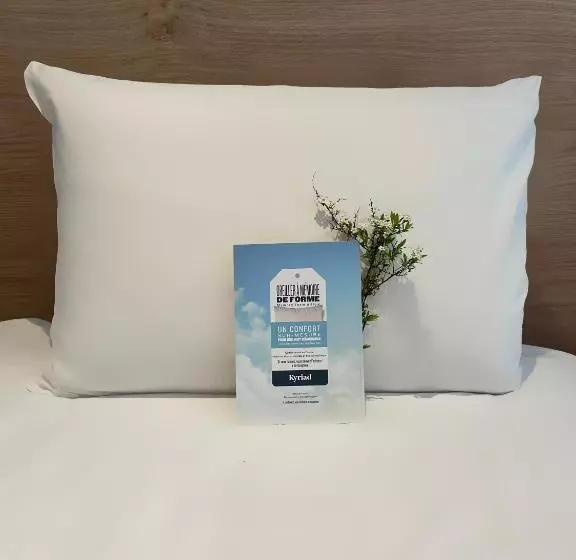 Motel Kyriad Sens