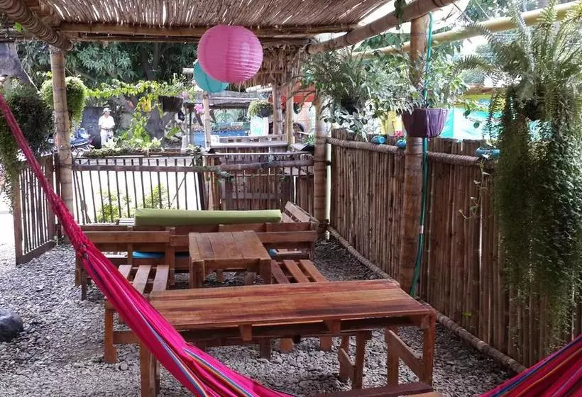 Oasis Hostal