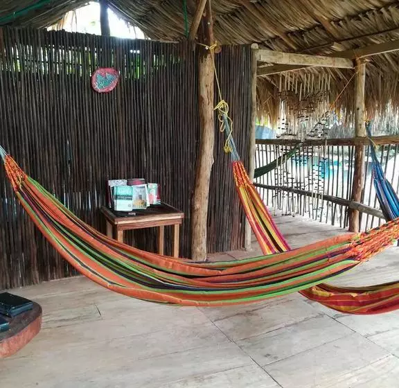Oasis Hostal