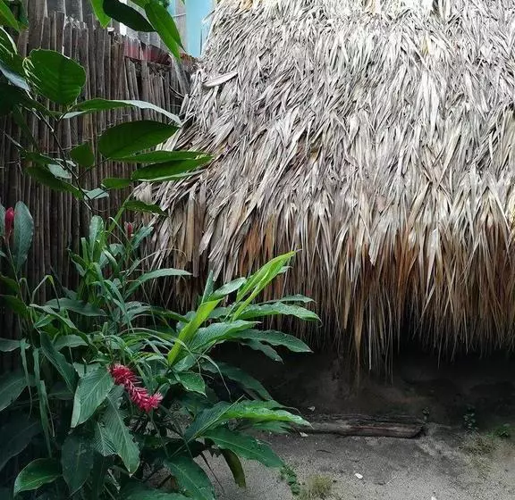 Oasis Hostal