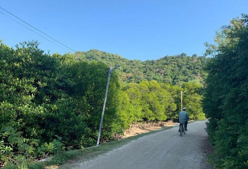 Phi Phi Little Star Resort