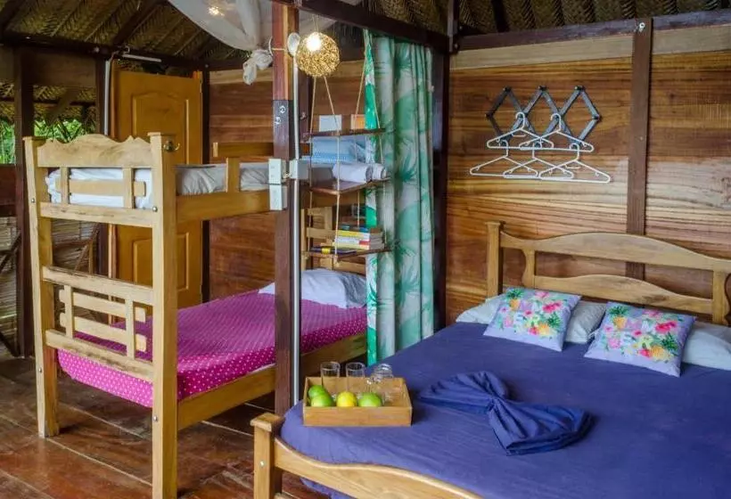 ベッドアンドブレックファースト Colibri Hostal Minca Santa Marta