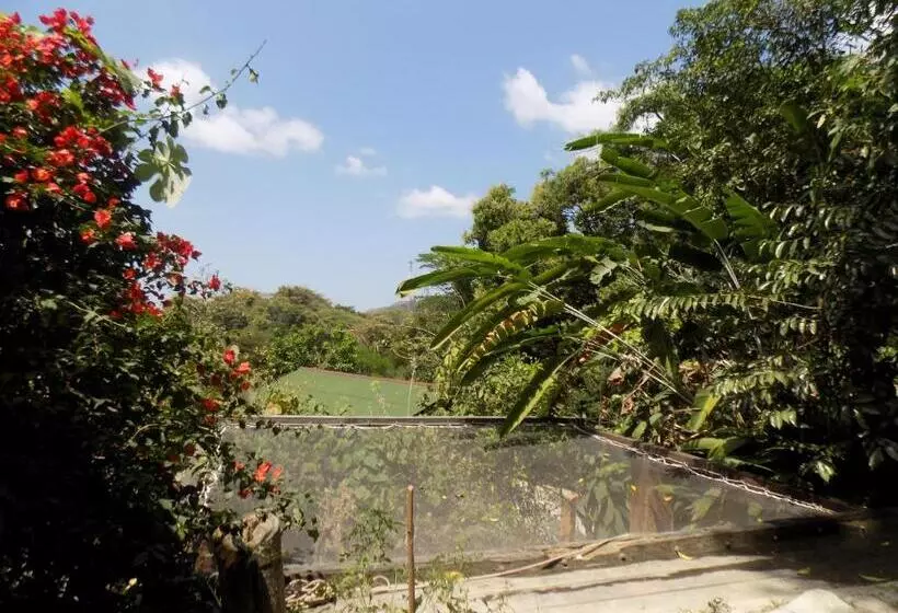 ベッドアンドブレックファースト Colibri Hostal Minca Santa Marta