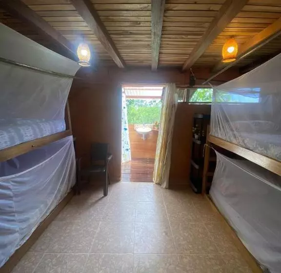 ベッドアンドブレックファースト Colibri Hostal Minca Santa Marta