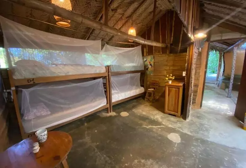 ベッドアンドブレックファースト Colibri Hostal Minca Santa Marta