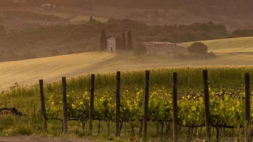 ホテル Agriturismo La Buca Di Bellugi
