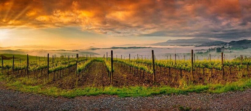 ホテル Agriturismo La Buca Di Bellugi