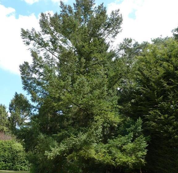 호텔 B&b Des Heures Claires