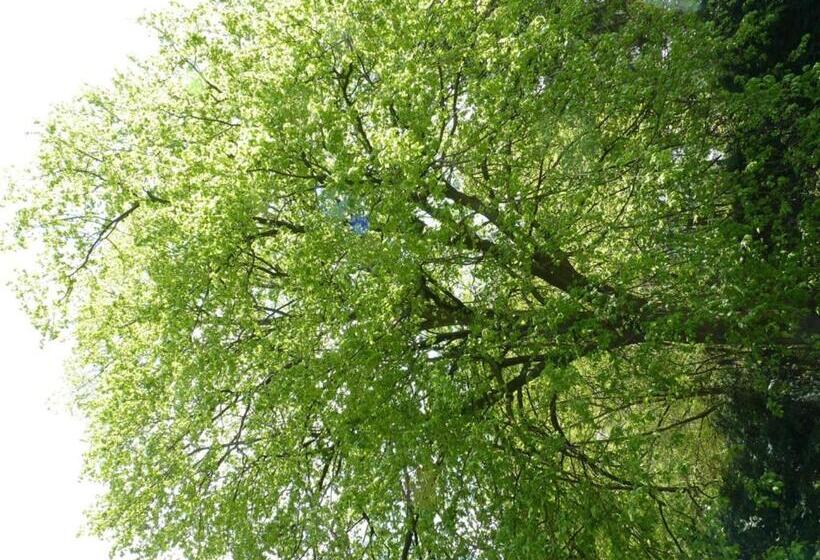 호텔 B&b Des Heures Claires