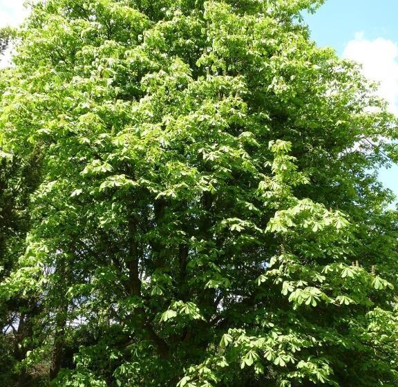 호텔 B&b Des Heures Claires