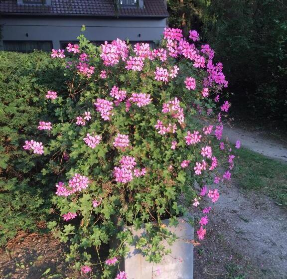 호텔 B&b Des Heures Claires