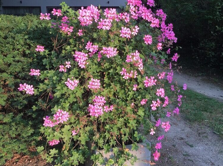 호텔 B&b Des Heures Claires