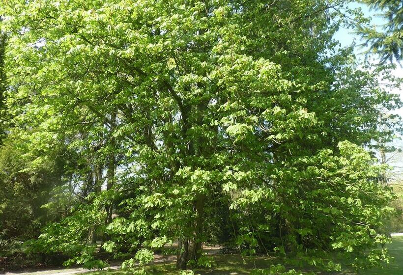 호텔 B&b Des Heures Claires