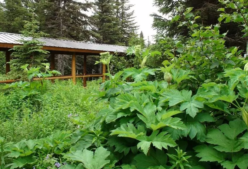 Hotelli Bear Paw Adventure