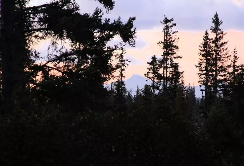 Hotelli Bear Paw Adventure