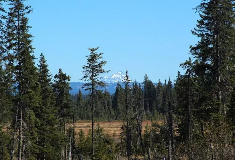 Hotelli Bear Paw Adventure