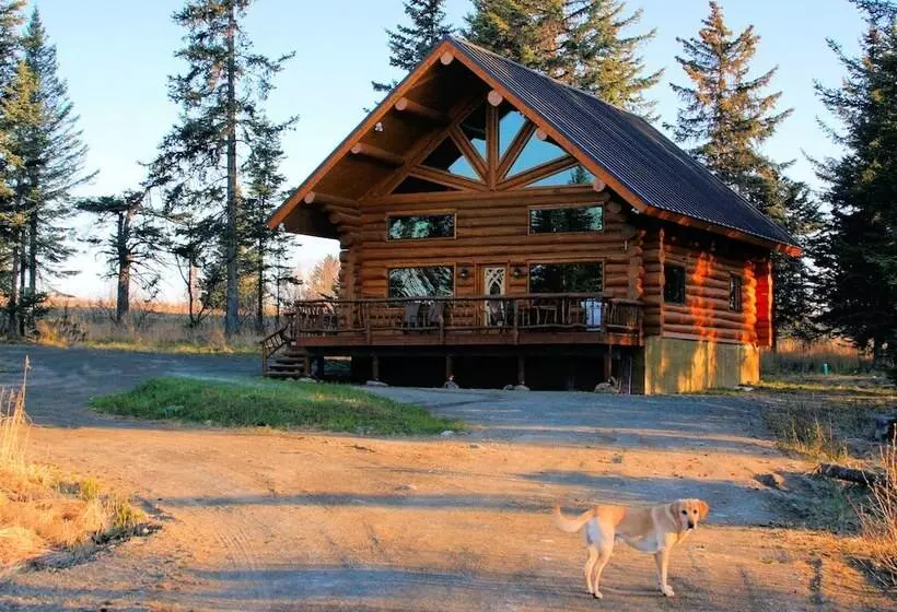 Hotelli Bear Paw Adventure