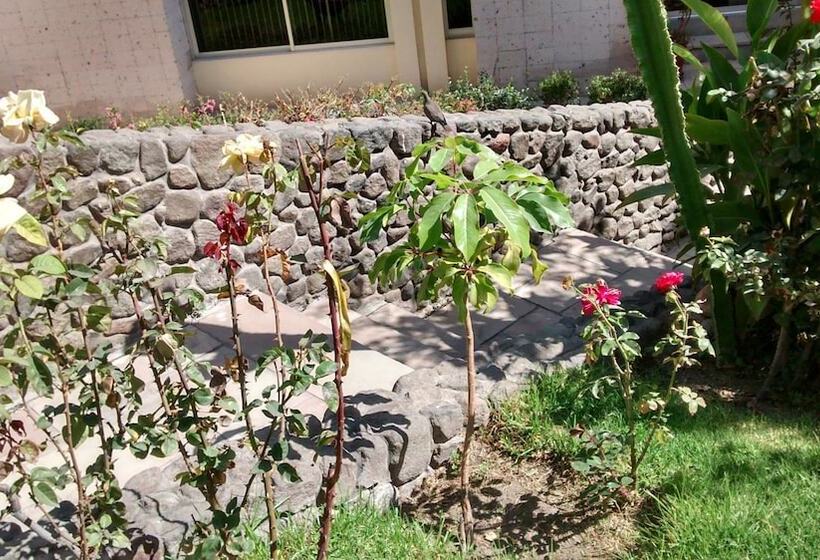 فندق Hostal Los Angeles Amigos Inn