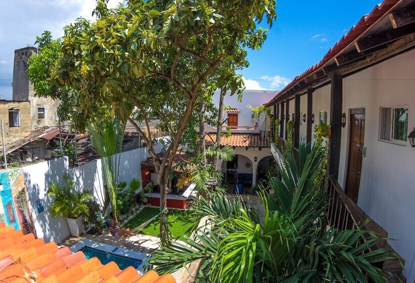 هتل Island Life Hostel