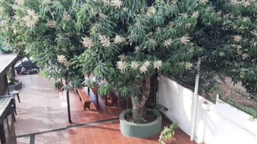 Hotel Hostel & Posada Noelia