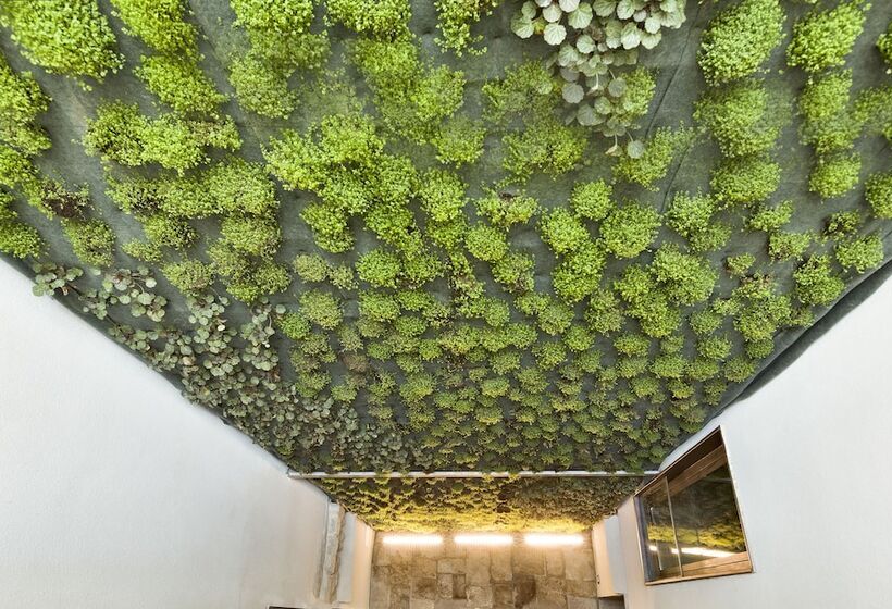 בית מלון כפרי Palazzo Calo