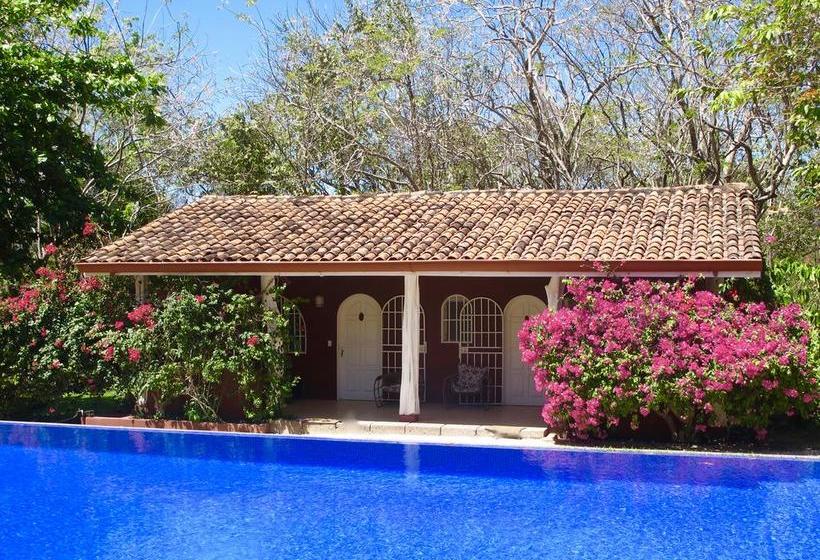 צימר Casa Mapache