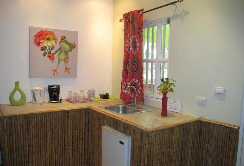 צימר Casa Mapache