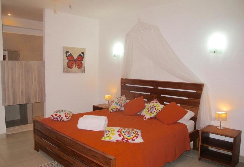 צימר Casa Mapache