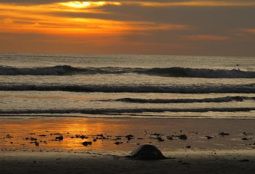 צימר Casa Mapache