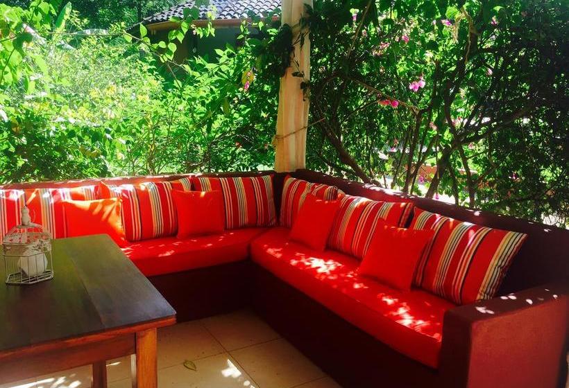 צימר Casa Mapache