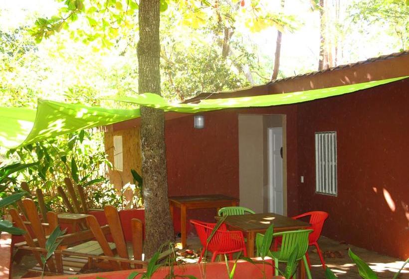 צימר Casa Mapache