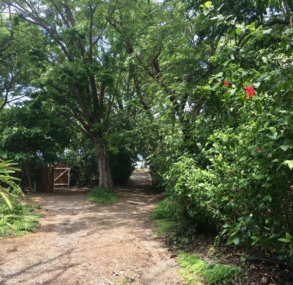 Aamiaismajoitus (B&B) Makanas Beach Bungalows