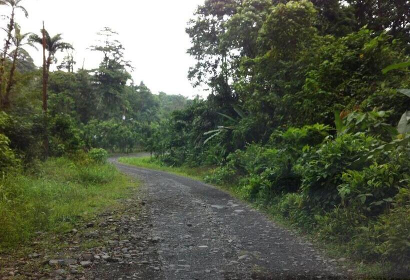 Casa Rio Blanco Eco Friendly B&b