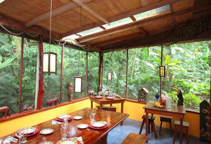 Casa Rio Blanco Eco Friendly B&b