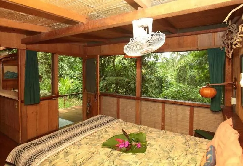 Casa Rio Blanco Eco Friendly B&b