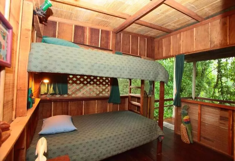 Casa Rio Blanco Eco Friendly B&b