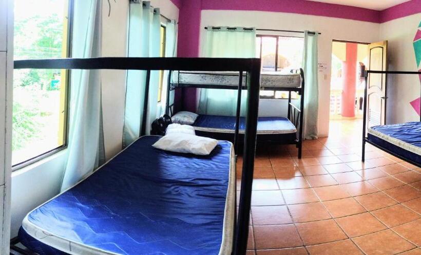 Cool Vibes Beach Hostel