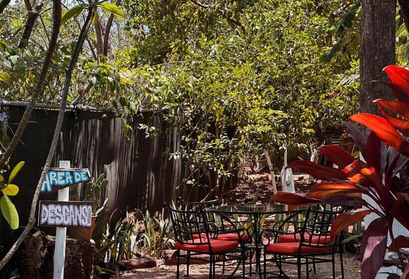 Glamping Hotel Flor Y Bambu