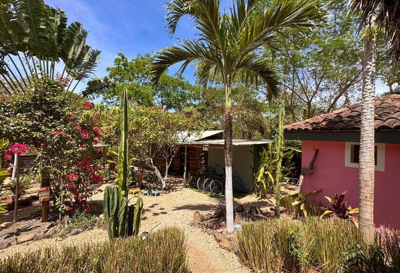 Glamping Hotel Flor Y Bambu