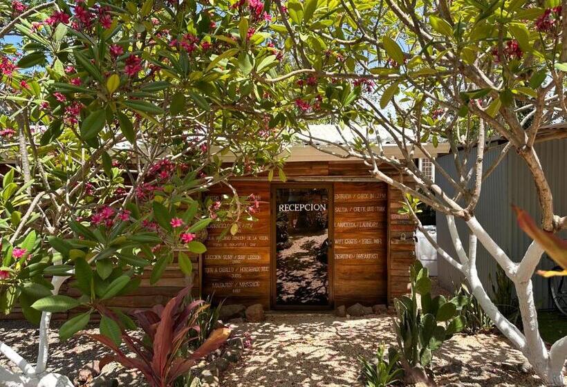 Glamping Hotel Flor Y Bambu