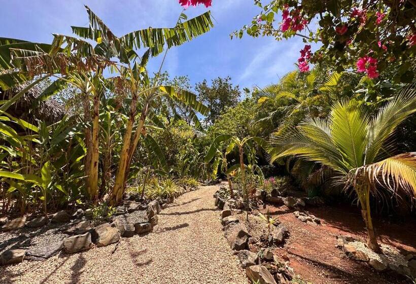 Glamping Hotel Flor Y Bambu