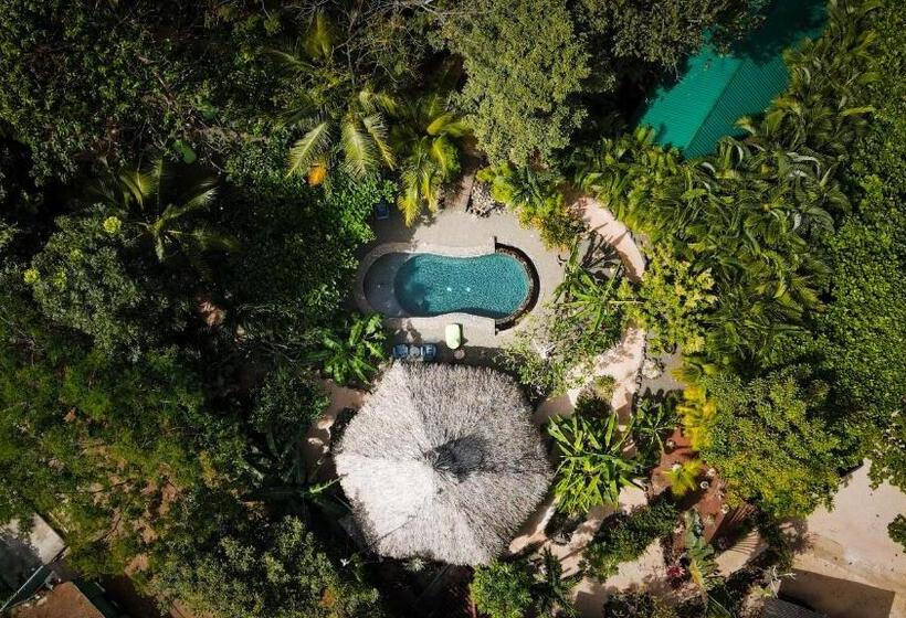 Glamping Hotel Flor Y Bambu