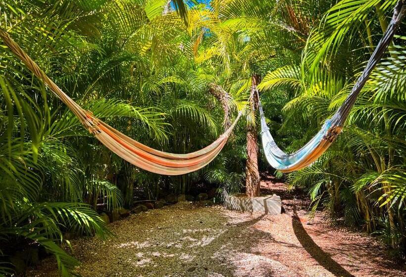 Glamping Hotel Flor Y Bambu