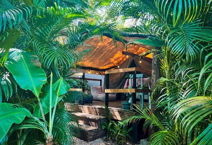 Glamping Hotel Flor Y Bambu