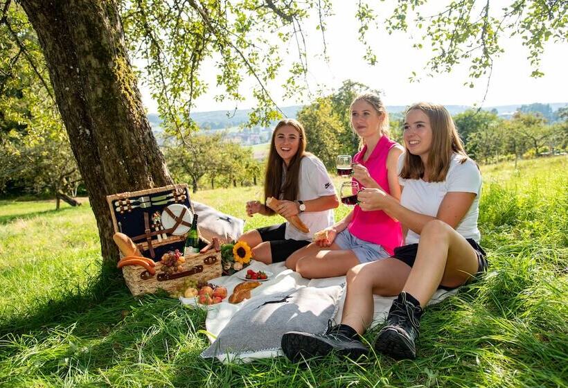 Alb Inn   Hotel & Apartments