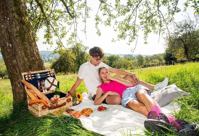 Alb Inn   Hotel & Apartments