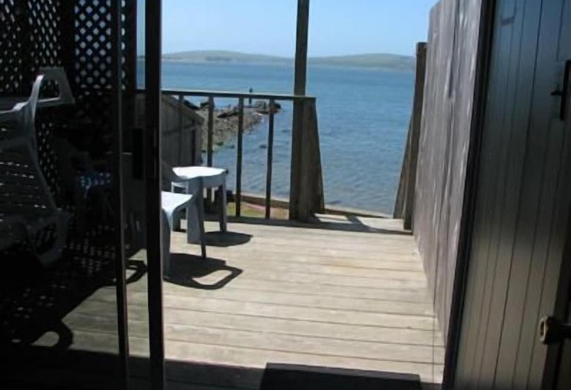 酒店 Bodega Harbor Inn