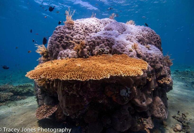 Отель Double One Villas Amed Ii