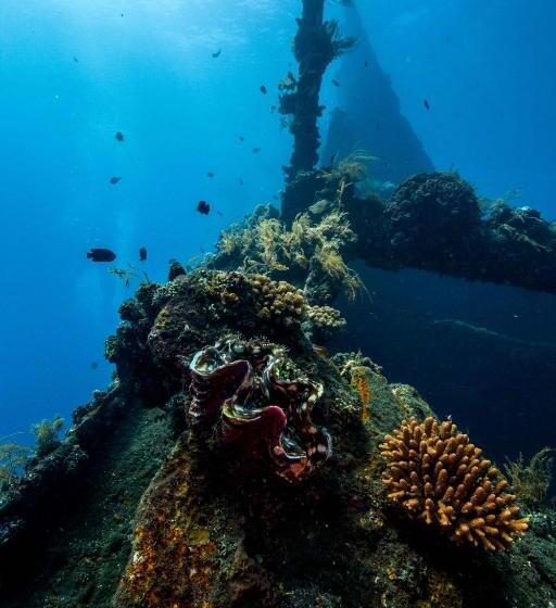 Отель Double One Villas Amed Ii